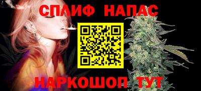 стаф Новозыбков